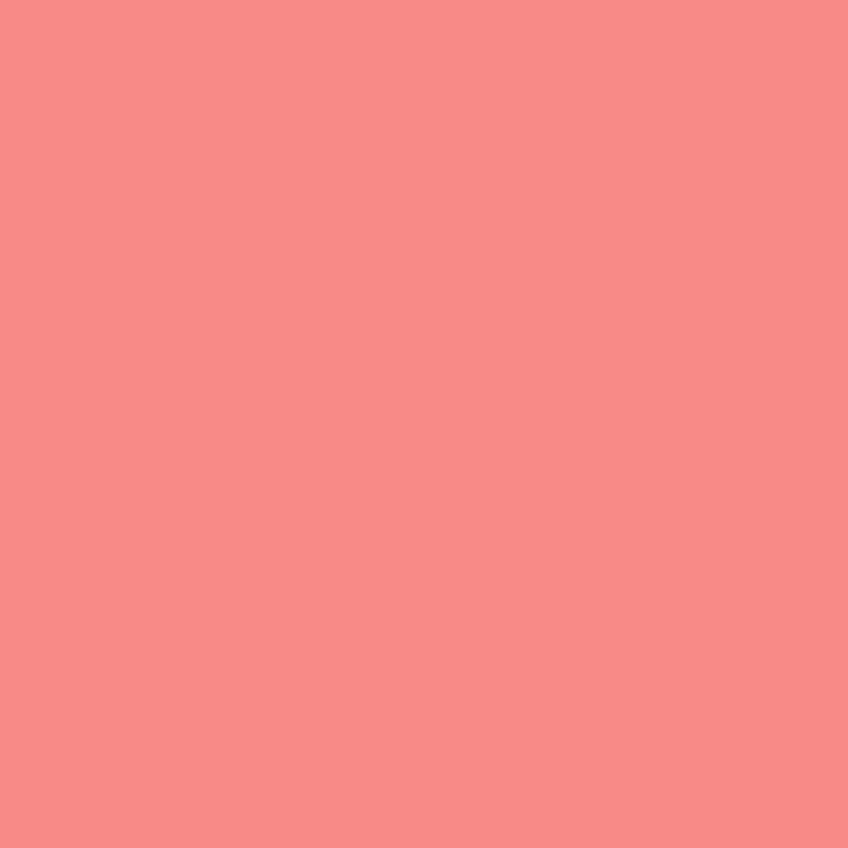 Pink Peach 2009-40 - Paint Color – The Paint Centers